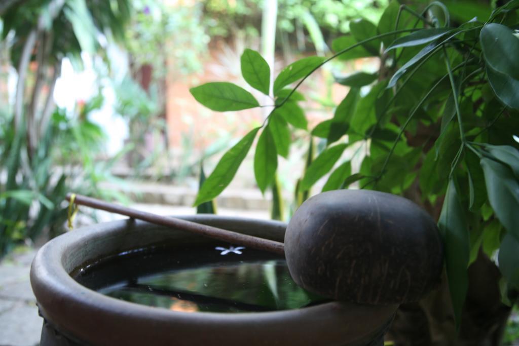 Mui Ne Resort Room photo